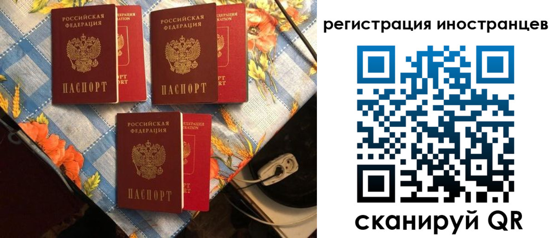 прописка поиск в Коми